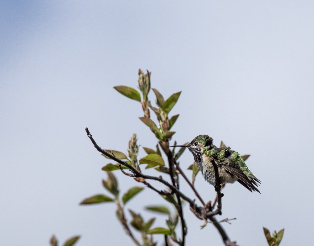 Photograph by Le pennetier