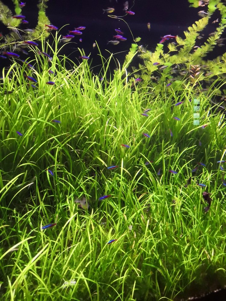 Photograph by  Анастасия