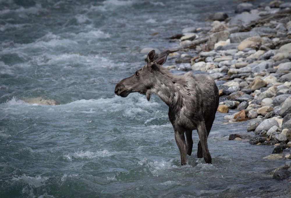 Photograph by Le pennetier