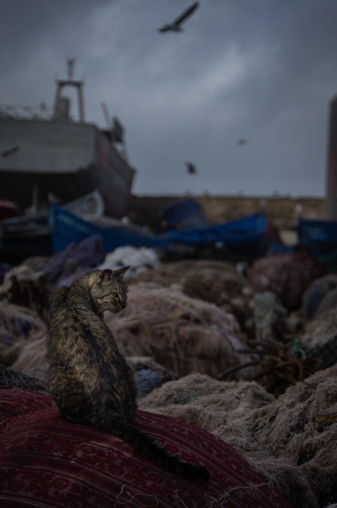 Photograph by Le pennetier