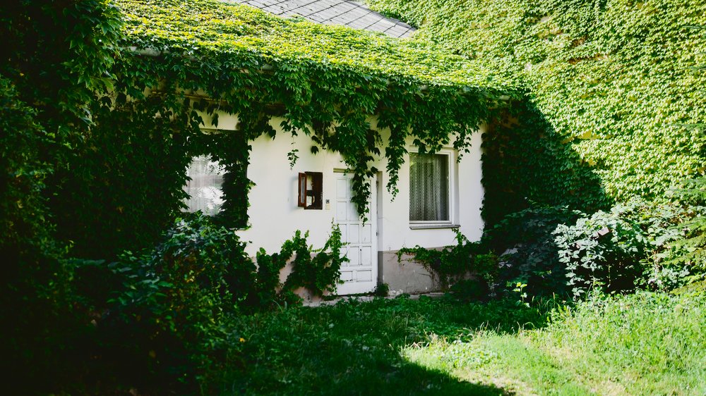 Photograph by Juls Demidova