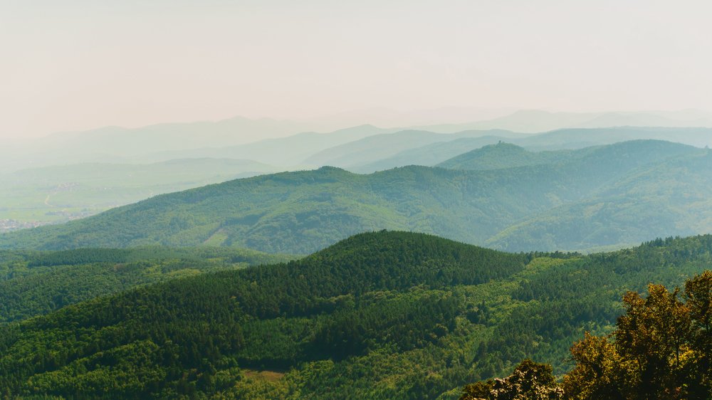 Photograph by Juls Demidova