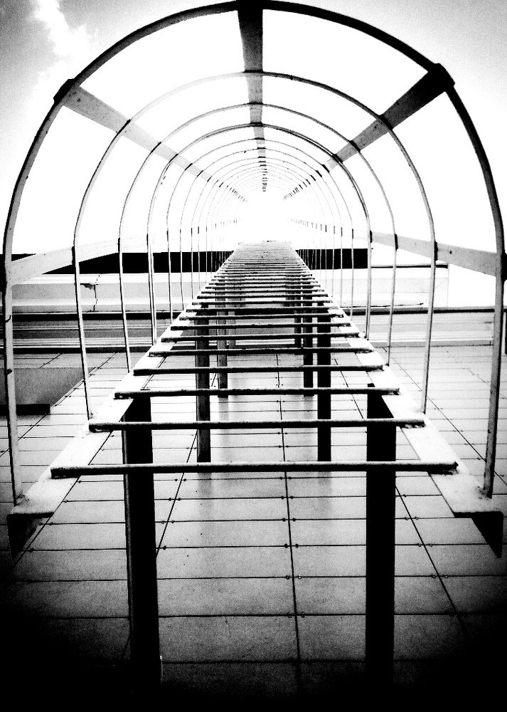 Photograph by Оксана Шахматова