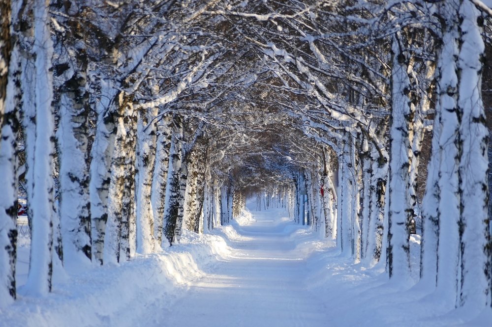 Winter alley