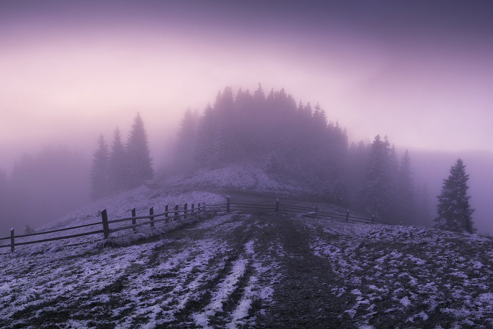 Photograph by Julia Opilat