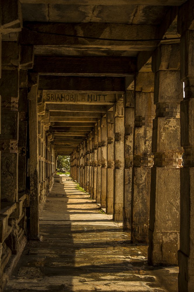 Photograph by Prasad Pavan