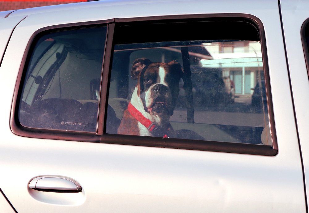 Photograph by Simon Ducrot