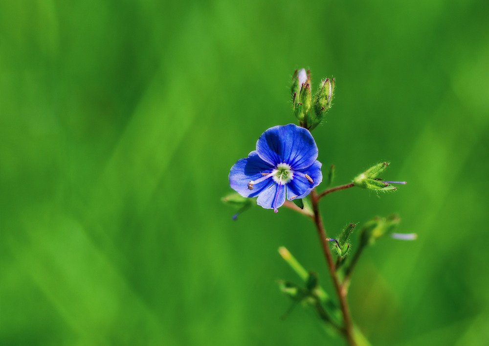 Пробуждение