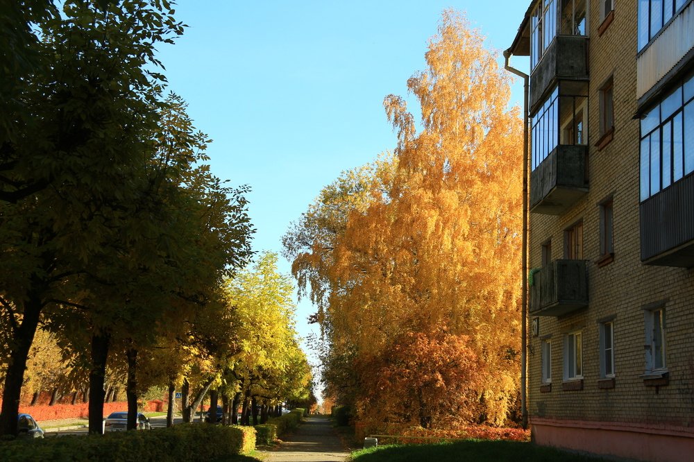 Прощай молодость