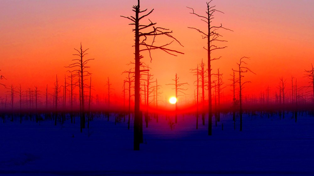 Season Fishing 2019 ©