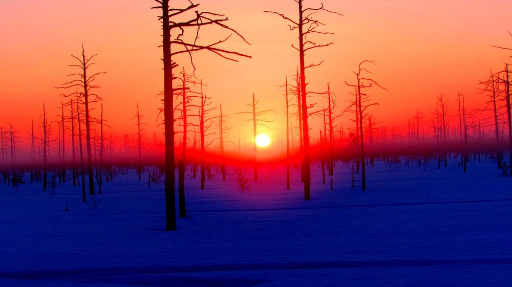 Season Fishing 2019 ©