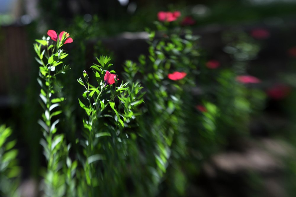 Photograph by Tatyana