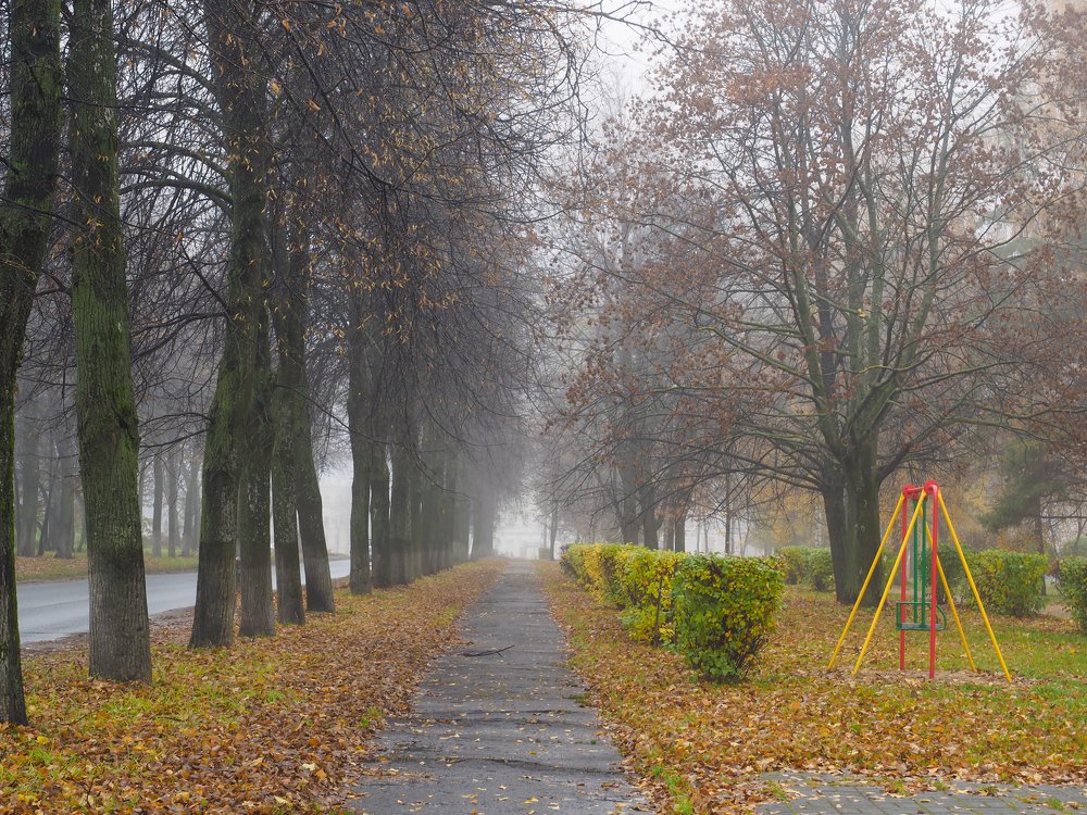 Photograph by Сергей Гаврилов