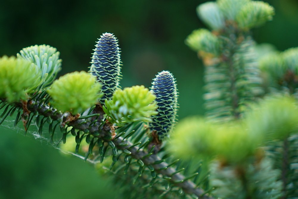 Photograph by Виктория Зайкова