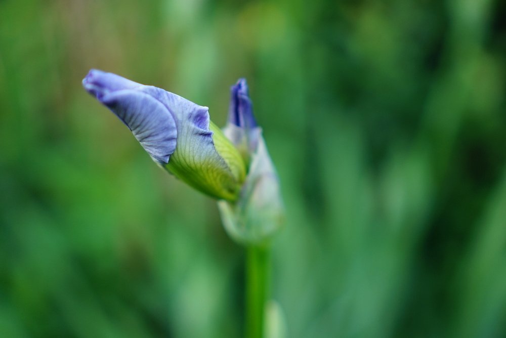 Photograph by Виктория Зайкова