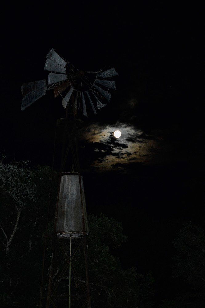 Photograph by Carina Albelda