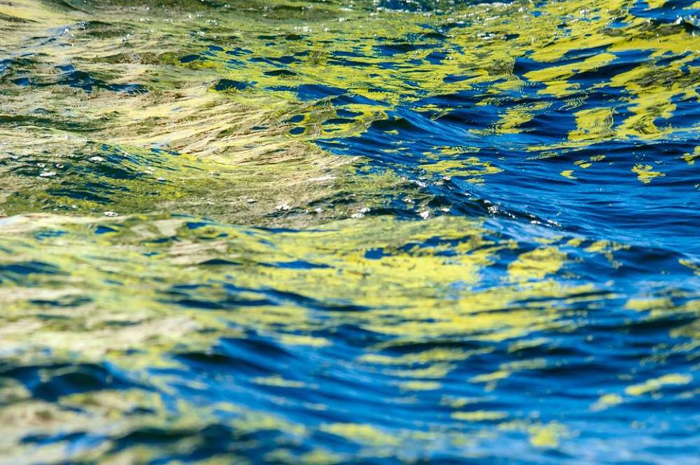 Photograph by Татьяна Пелевина