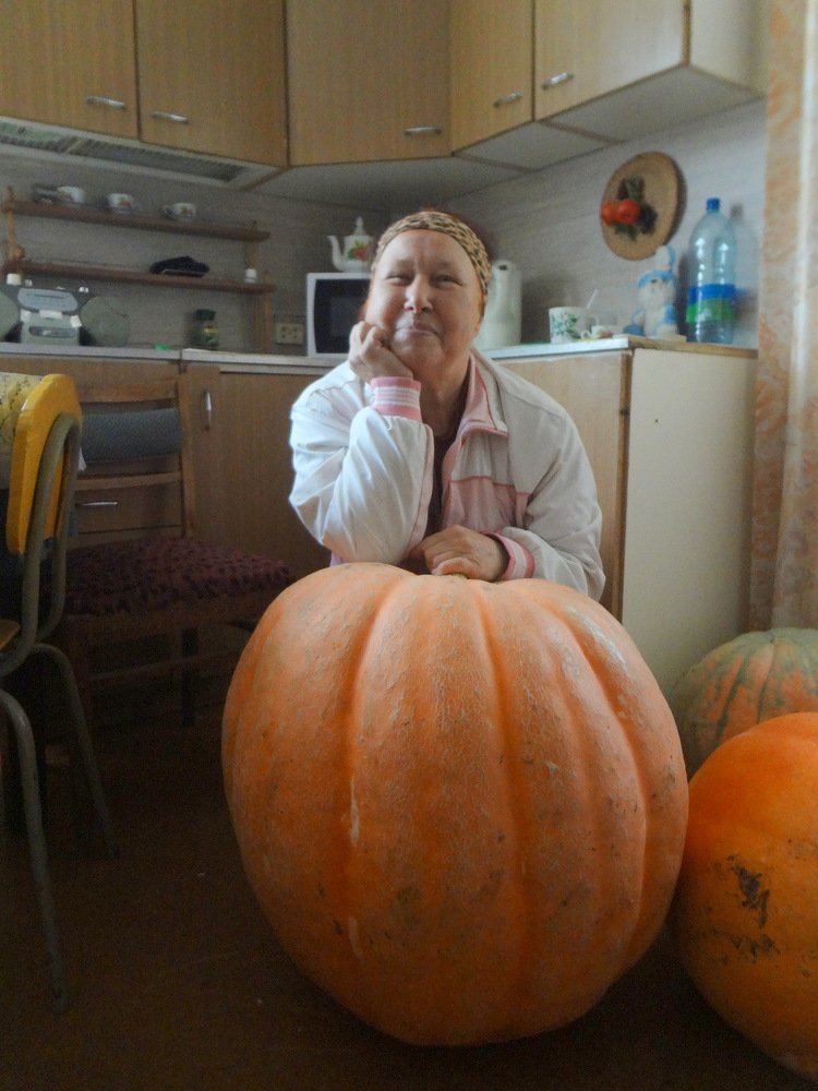 Photograph by Анатолий Мохорев