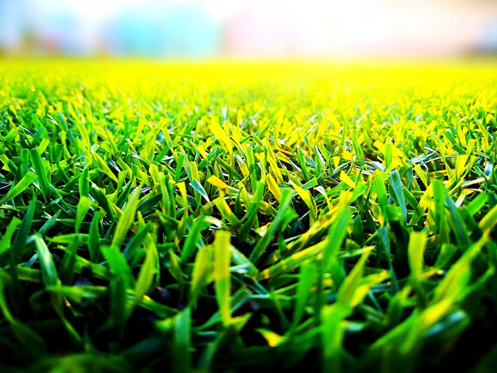 Photograph by Maske *