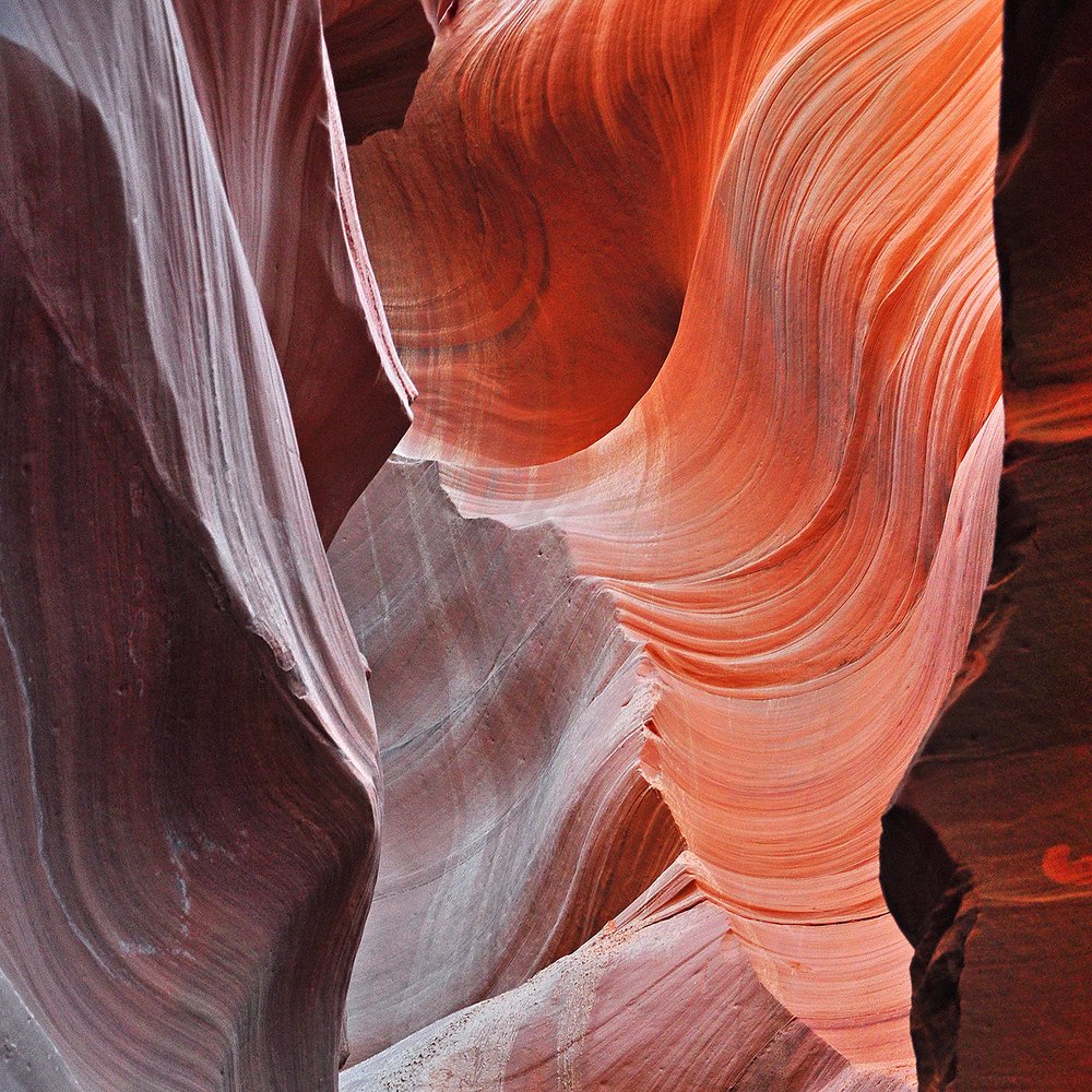 Photograph by Svetlana Rizzo