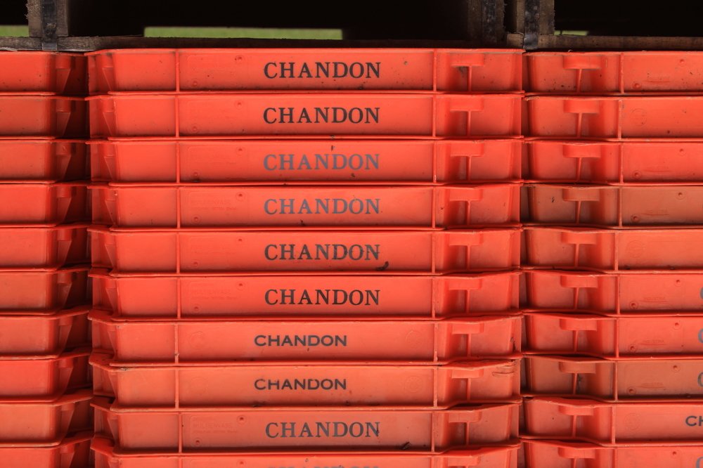 Photograph by Juan Pavlovsky