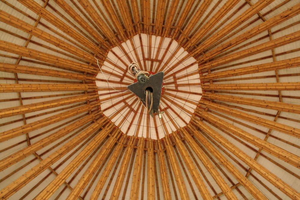 Photograph by Juan Pavlovsky