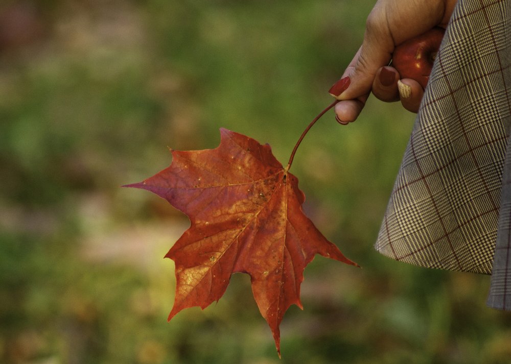 Photograph by Aleksandr Slyusarev