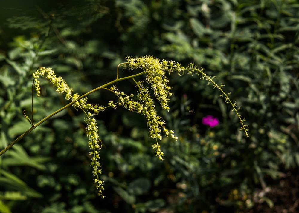 Photograph by Aleksandr Slyusarev