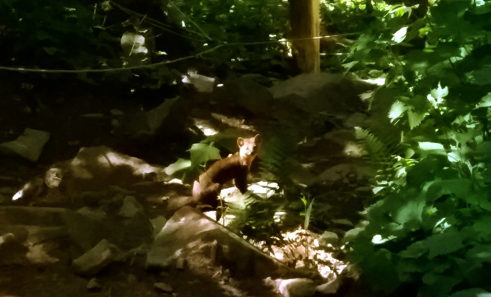 Photograph by Константин Урюпин