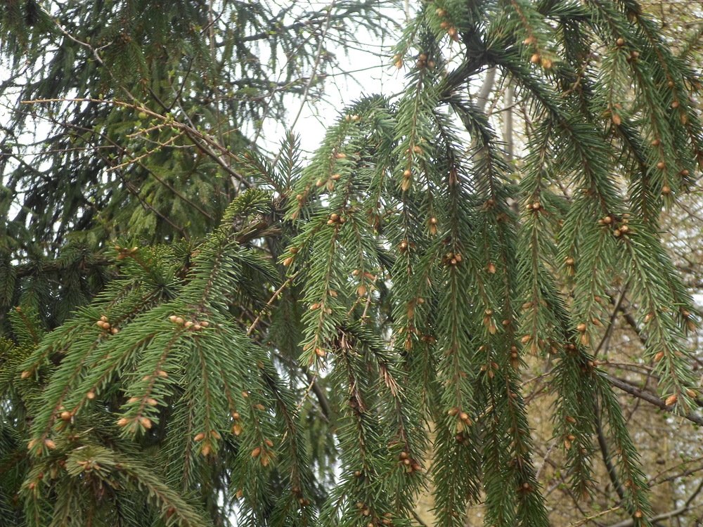 Photograph by Лида