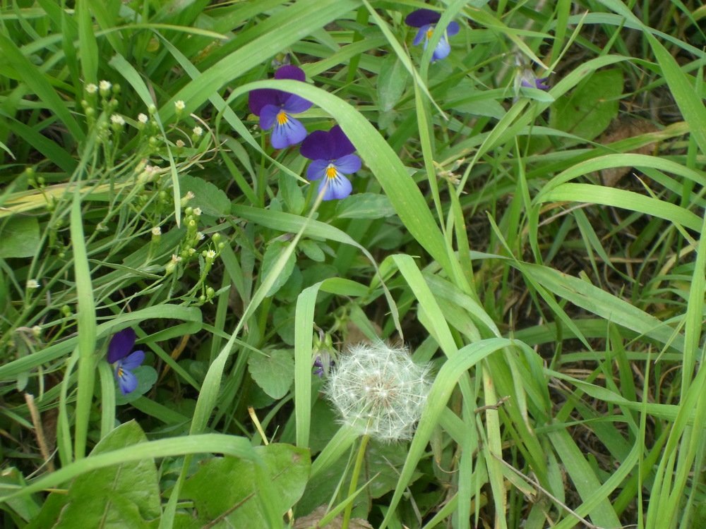 Photograph by Лида