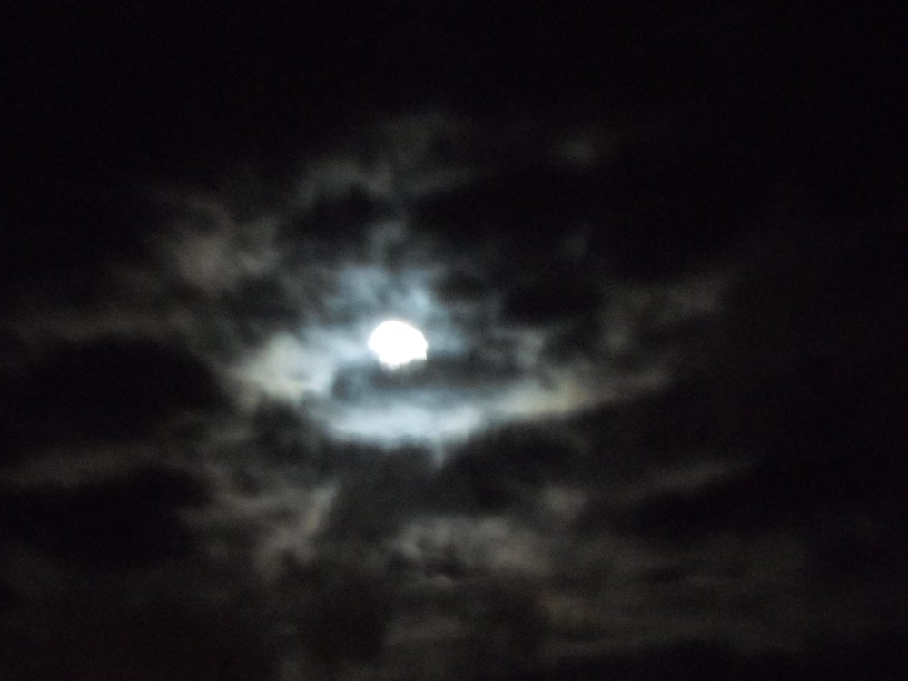 Photograph by Лида