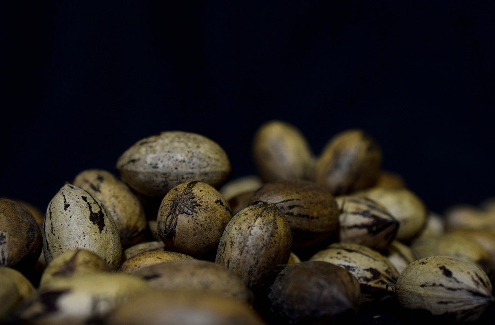 Photograph by Beatriz Games