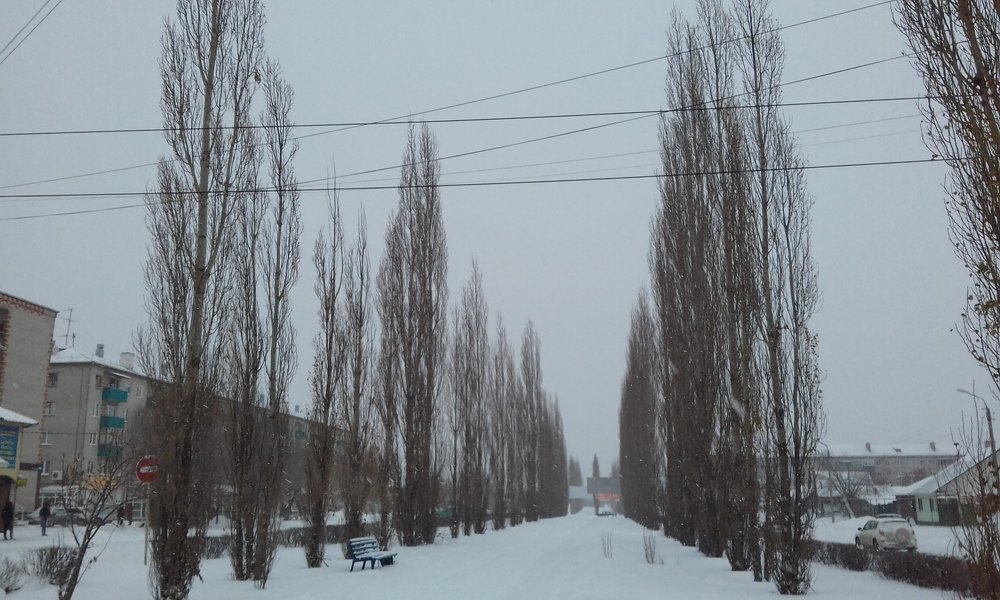 Photograph by Лида