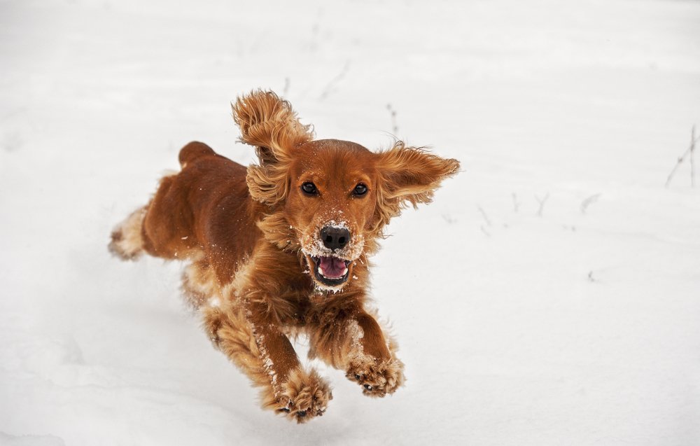 Photograph by Димитрий Евтушик