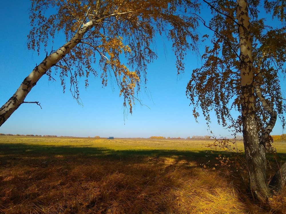 Алтайский ландшафт.