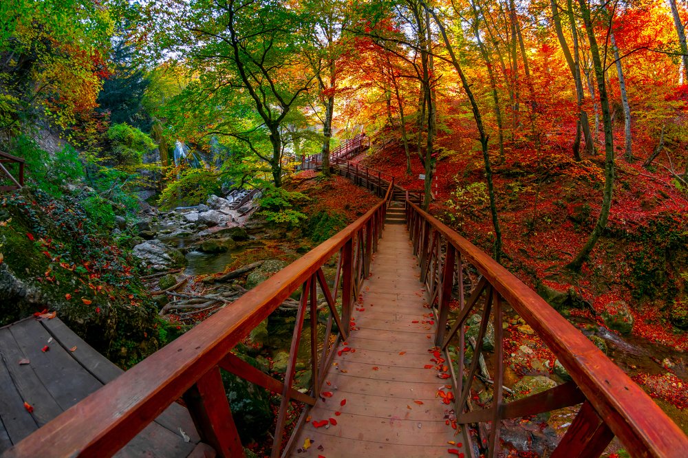 Photograph by Андрей Муравин