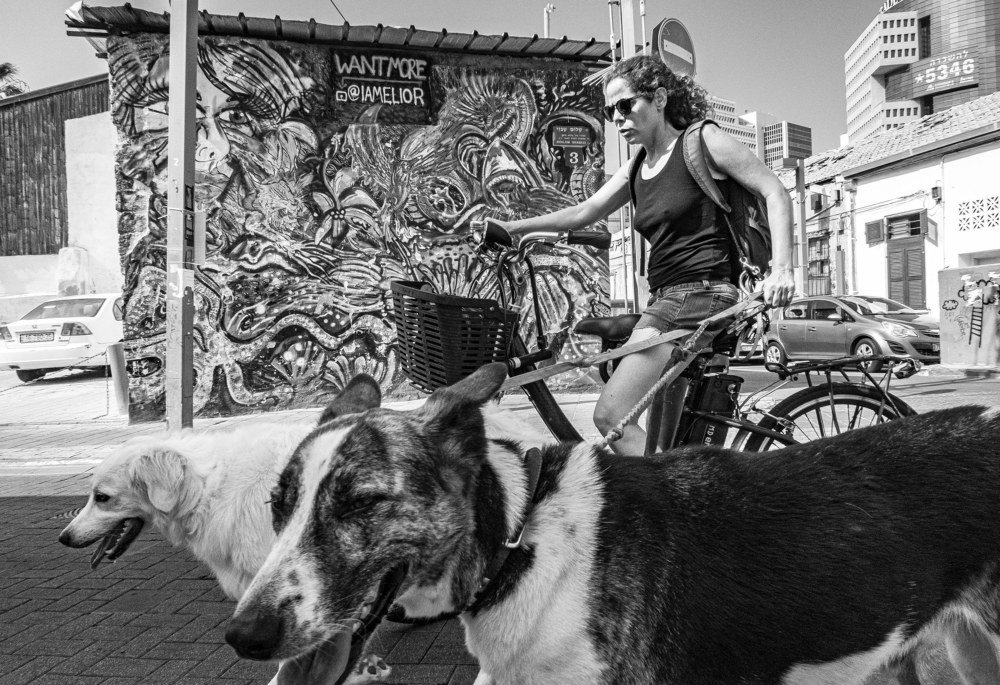 Photograph by Nikolay Hovich