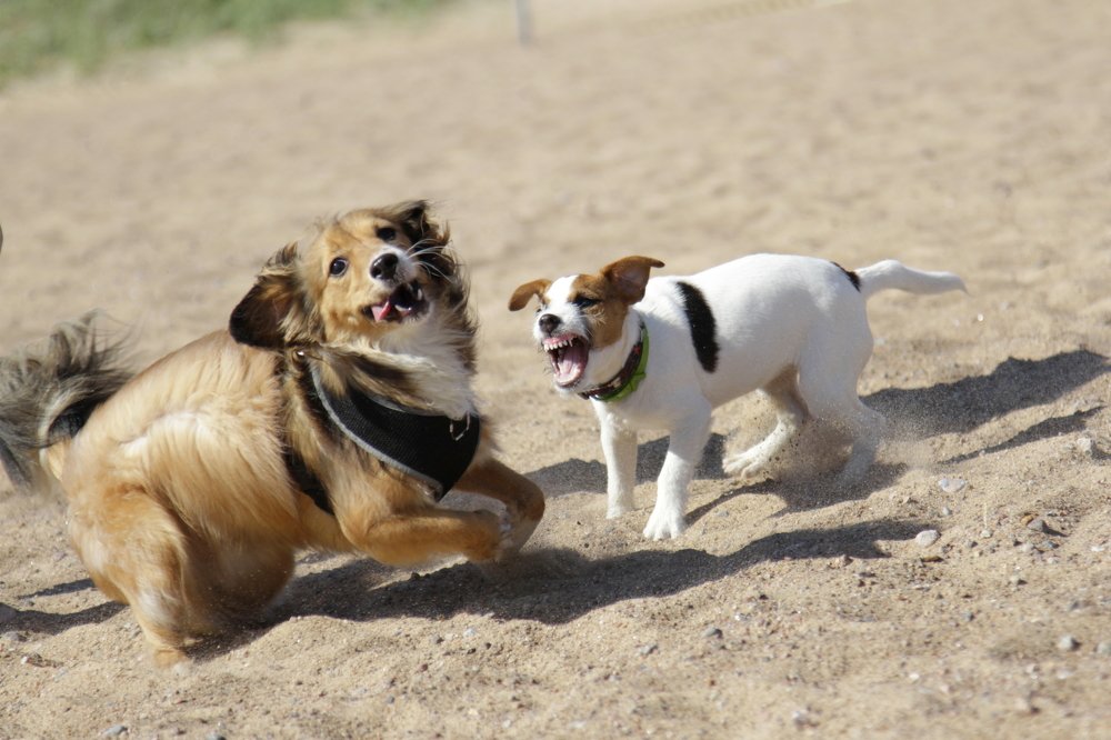 Photograph by Ольга Корчагина