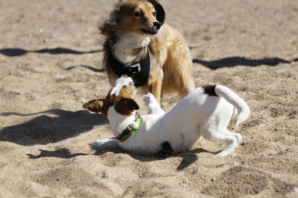 Photograph by Ольга Корчагина