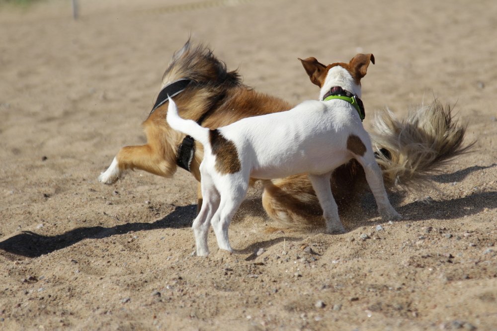Photograph by Ольга Корчагина