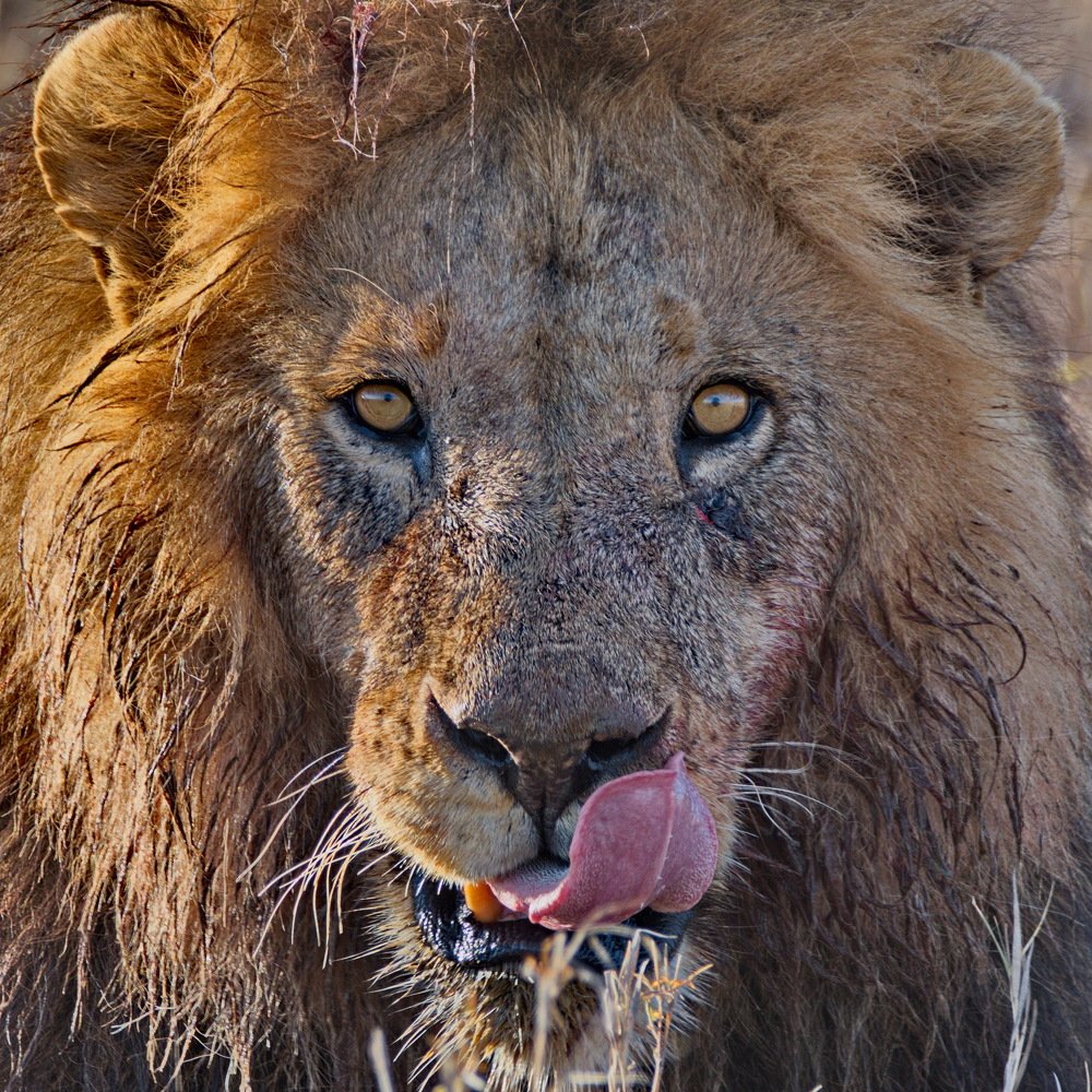 Photograph by Lev Prilutsky