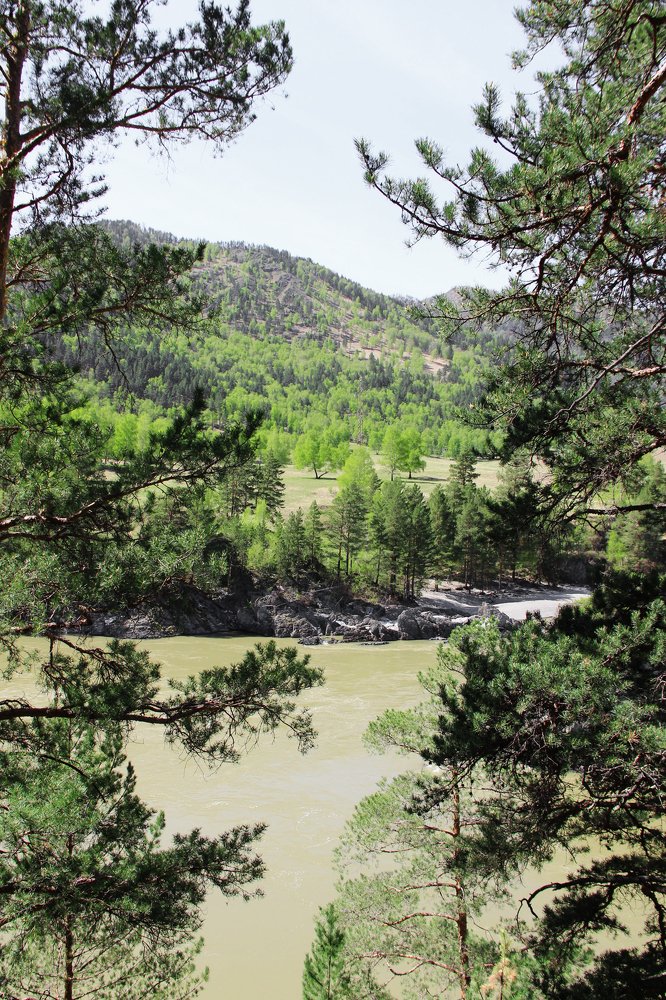 Photograph by Ольга Тучкова