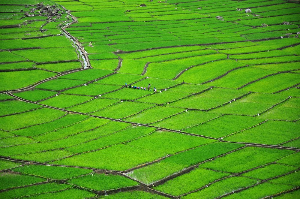 Photograph by Samsul Huda Patgiri