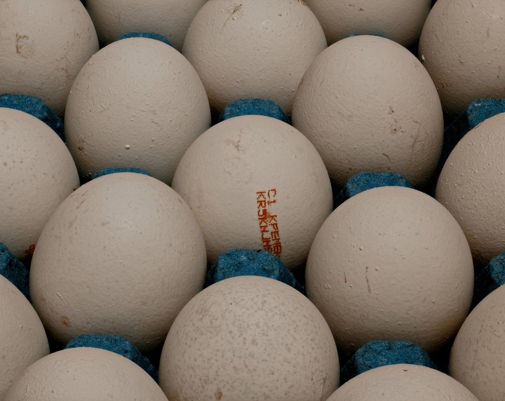 Photograph by Roman Bernatskyi