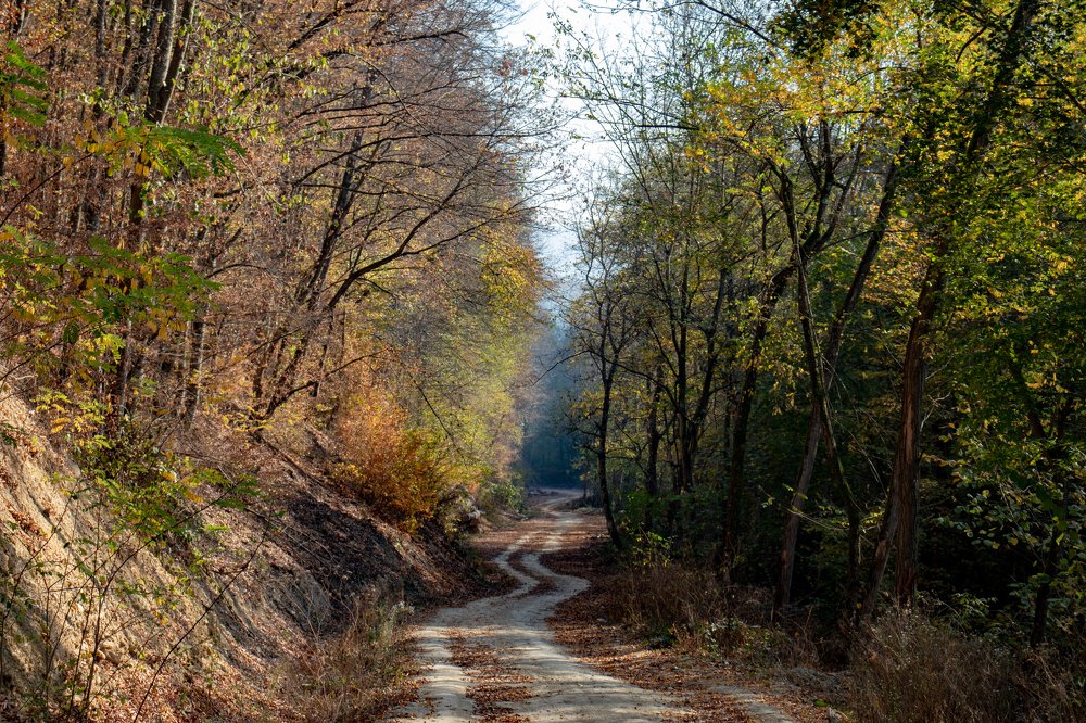 Photograph by Norbert Begov