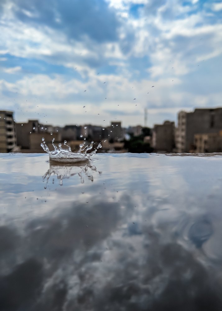 Photograph by amin roshan afshar