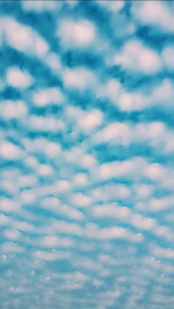 Photograph by Alireza Shahabi