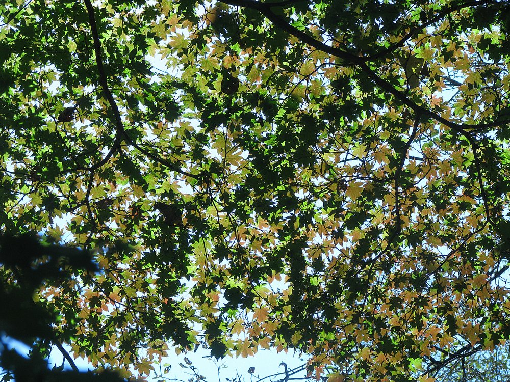 Photograph by Ольга Тучкова