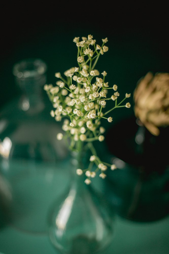 Photograph by Ирина Заргано